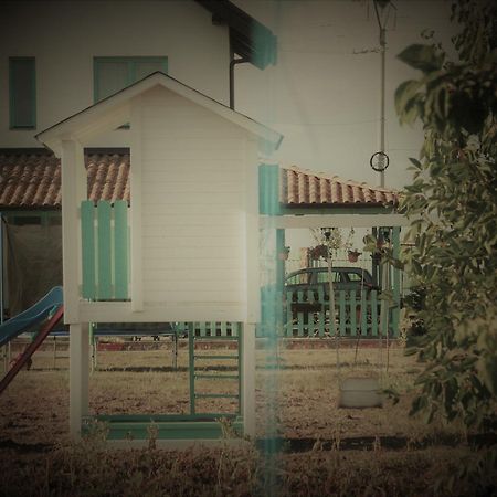 Hotel Fragaria Zimandcuz Esterno foto